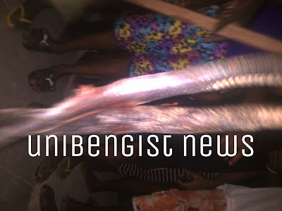 Photos: Massive Snake killed in hall 3 – Uniben