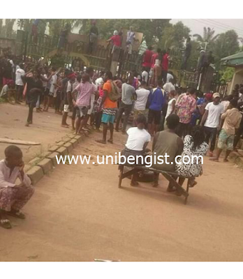 UNIBEN: LIVE Protest in Ekehuan Campus. See photos..