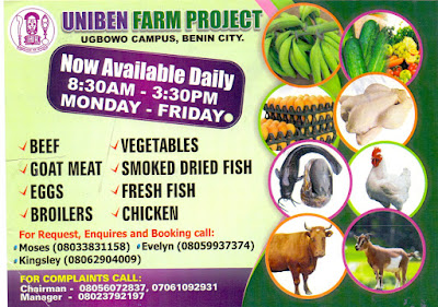 UniBen Farm Project: Food Sales Extravaganza – See details